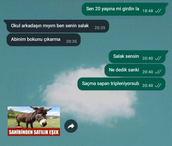 Kardeşinizle aranız nasıl?