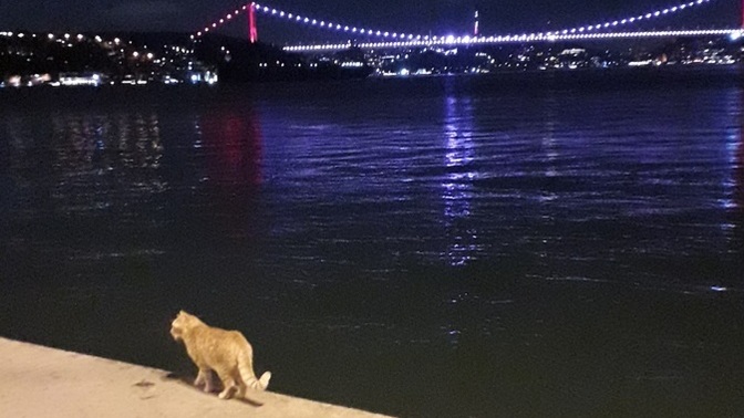 Kendine gelme yöntemin ne?