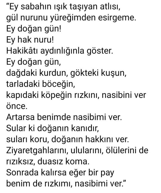 Bugün benim doğum günüm kimse kutlamadı? Hayatımdan silmeli miyim?
