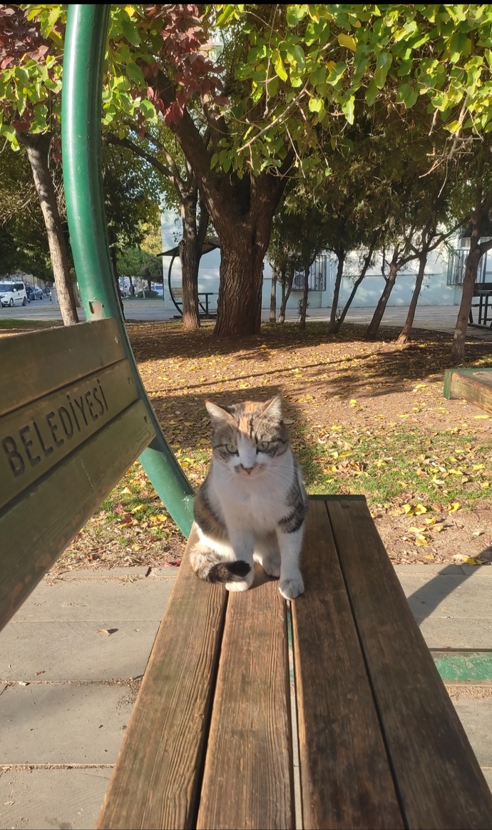 Günaydın, güne nasıl başladınız☺️?