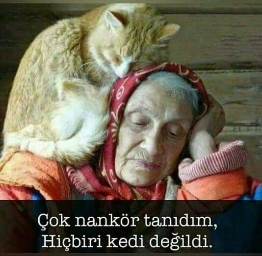 Hoşgörünün sonu nankörlük müdür?