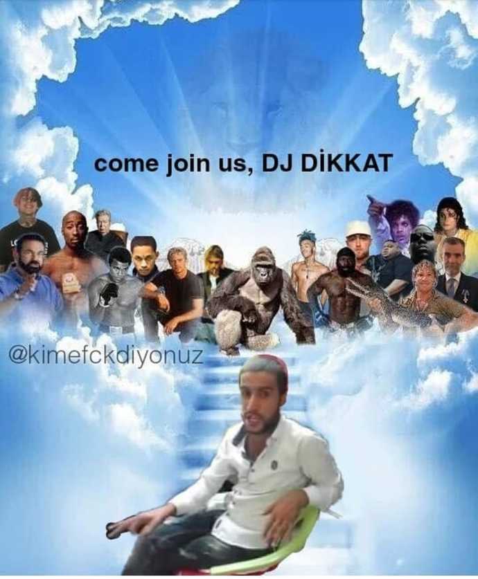 Arsız bela mı asi sytla mı?
