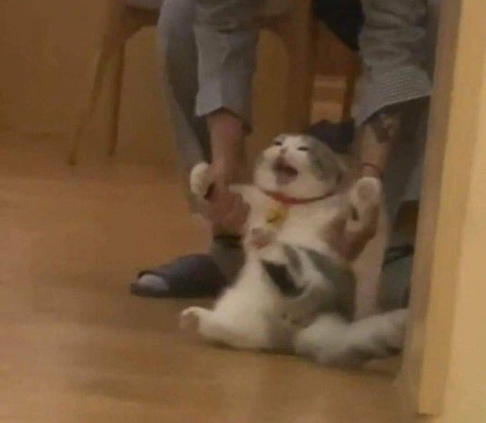 En son neden modunuz düştü?
