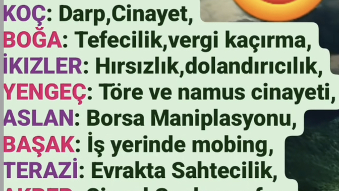 Burcuna göre suçlu olsan nasıl bir suç işlemiş olurdun?