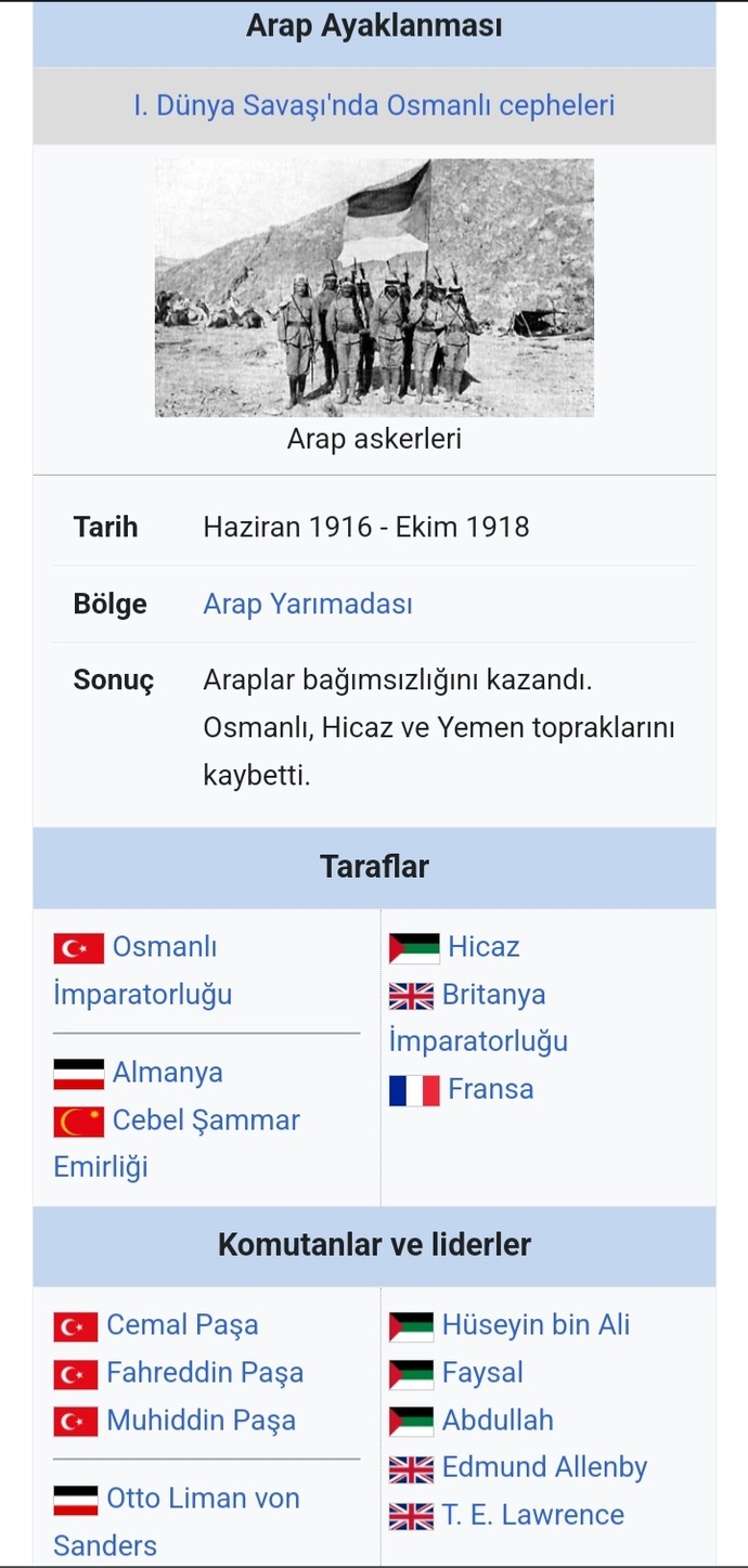 Şu Arap sevdalılarını bir Arap ülkesine gönderseler?