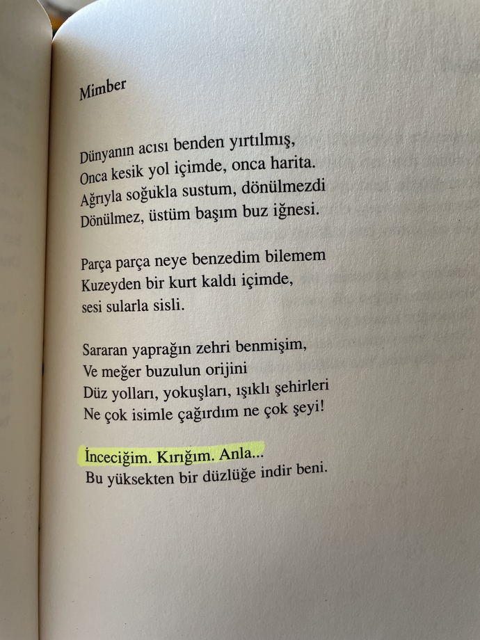 Şiirleri Sever misin?