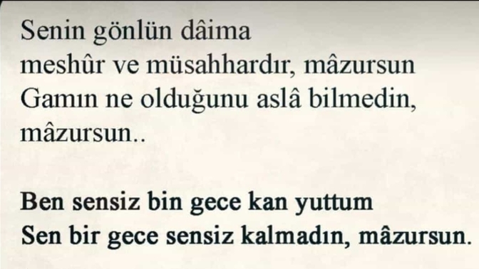 Şiirleri Sever misin?