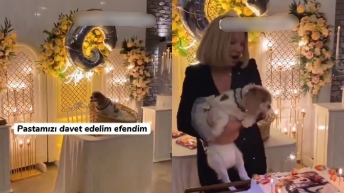 Düzce’de Gofret isimli köpeğe yapılan doğum gününe 150 kişi katılmış! Sizin doğum gününüzü bu kadar kişi kutlar mı?