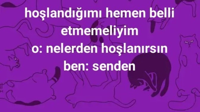 Hoslandigini hemen belli eder misin?