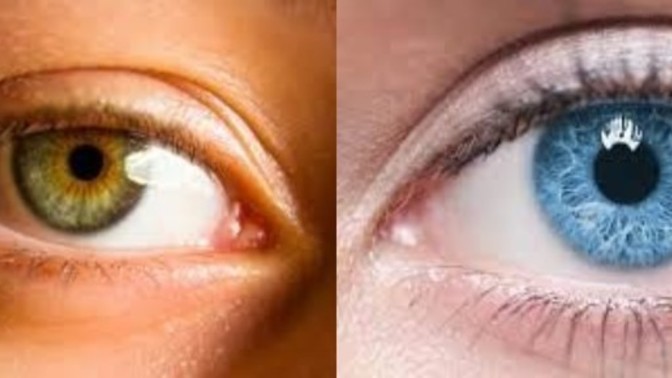 Size en çok çekici gelen göz rengi hangisi?