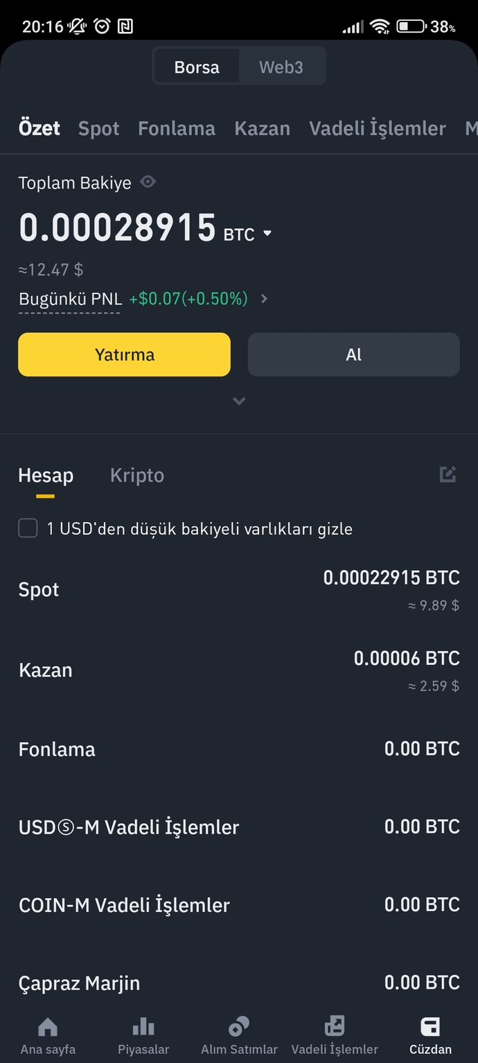 Bitcoin aldım kuruşluk yükselme oldu 2 saatte sizce iyimi?