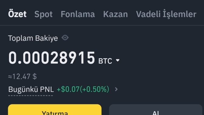 Bitcoin aldım kuruşluk yükselme oldu 2 saatte sizce iyimi?