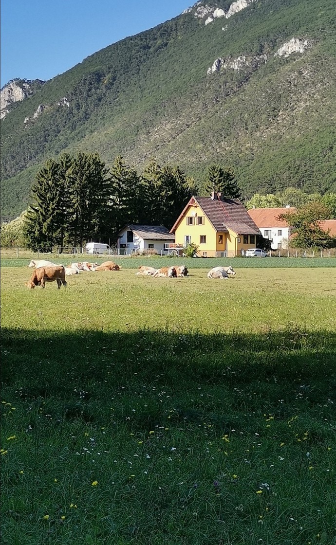 My lovely Village ❤️