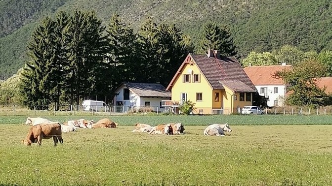 Nasıl bir evde yaşamak isterdin?