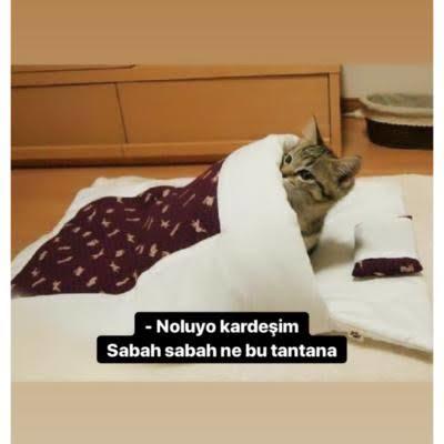 Ters uyananlardan mısın, pamuk gibi uyananlardan mı?