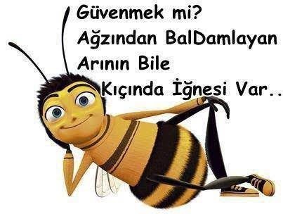Kimseye güvenmemen gerektiğini öğrendin mi?