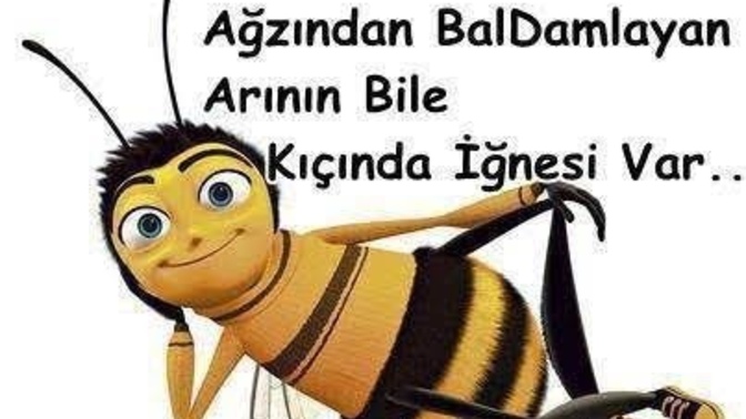 Kimseye güvenmemen gerektiğini öğrendin mi?