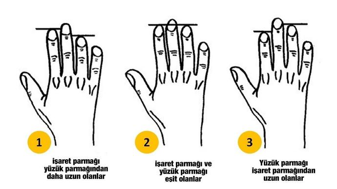 Parmak uzunluğu karakter analizi yapmak isteyen var mı?