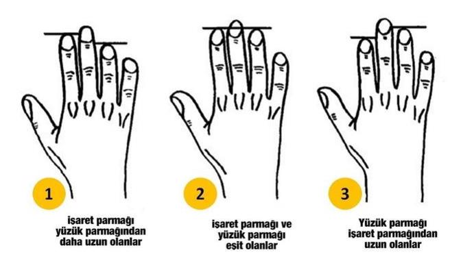 Parmak uzunluğu karakter analizi yapmak isteyen var mı?