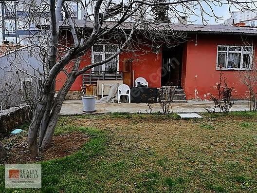 Böyle bir evde yaşamak istermiydiniz Yoksa utanirmiydiniz?