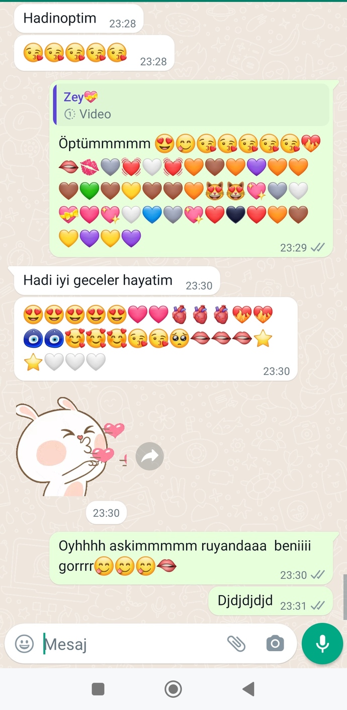 En son aldığın mesaj neydi?
