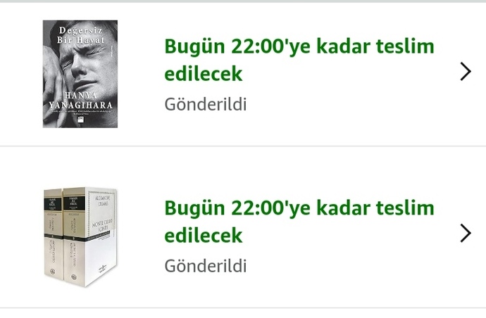 Ne sıklıkla kitap alırsınız?