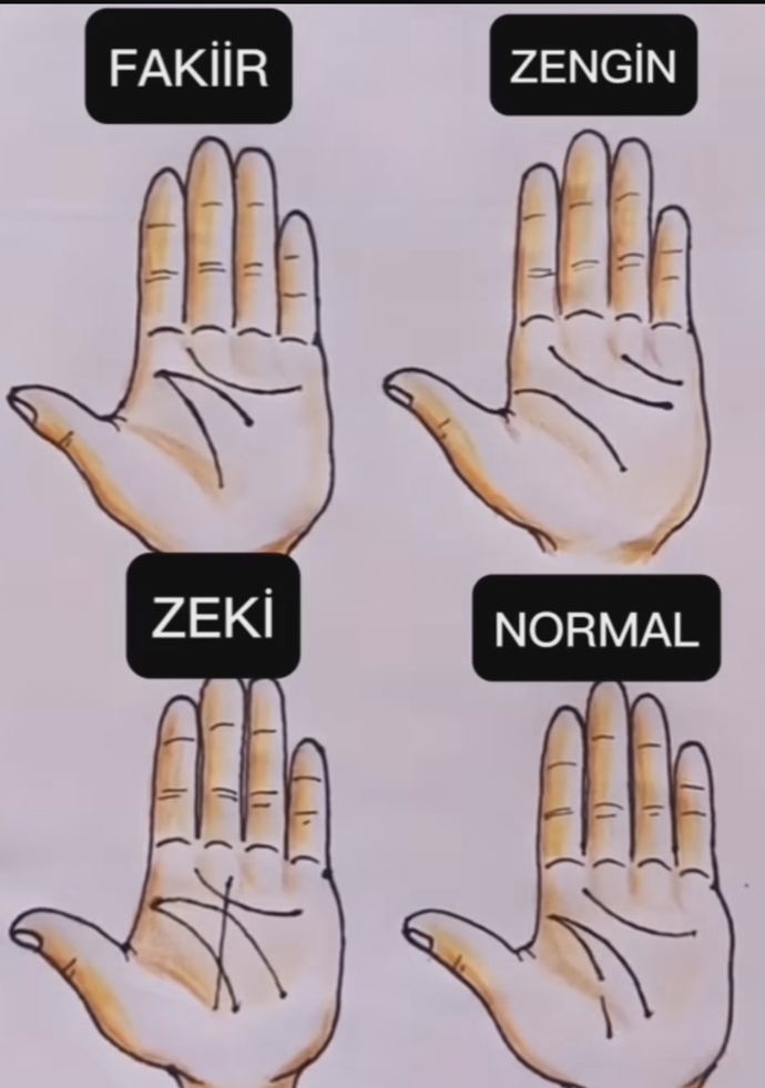 Senin elindeki çizgiler nasıl?