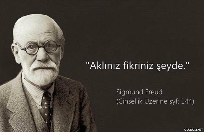 Freud un " İnsanlar saldırılara karşı kendini savunabilir ancak , iltifatlara karşı savunmasızdır" sözü size ne ifade ediyor?