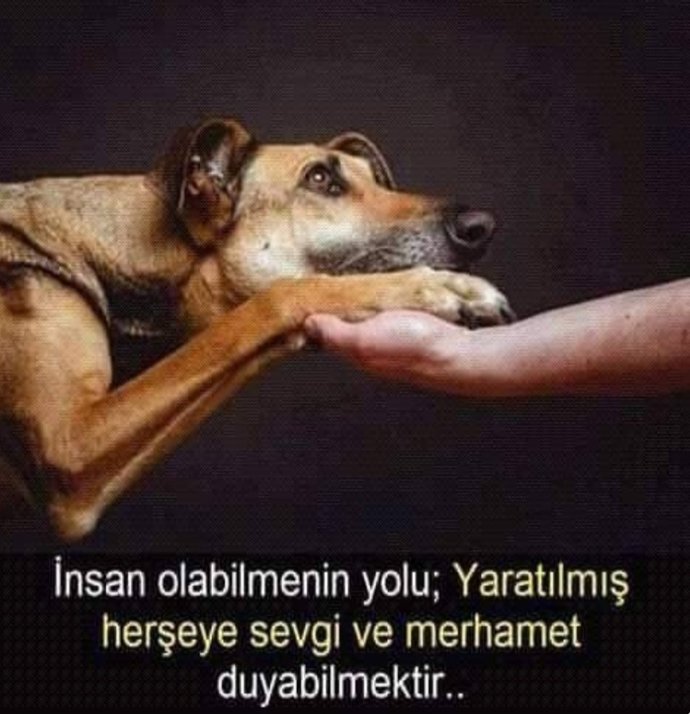 #nirhamm 🔴 🔴 🔴 🔴