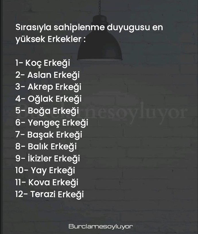 Burcuna göre sahiplenme duygusu en yüksek olan erkekler böyleymiş. Sen kaçıncı sıradasın?