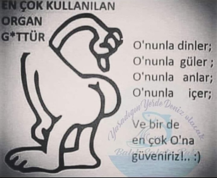 Neyinize güveniyorsunuz?
