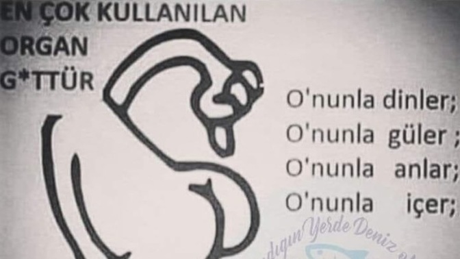 Neyinize güveniyorsunuz?