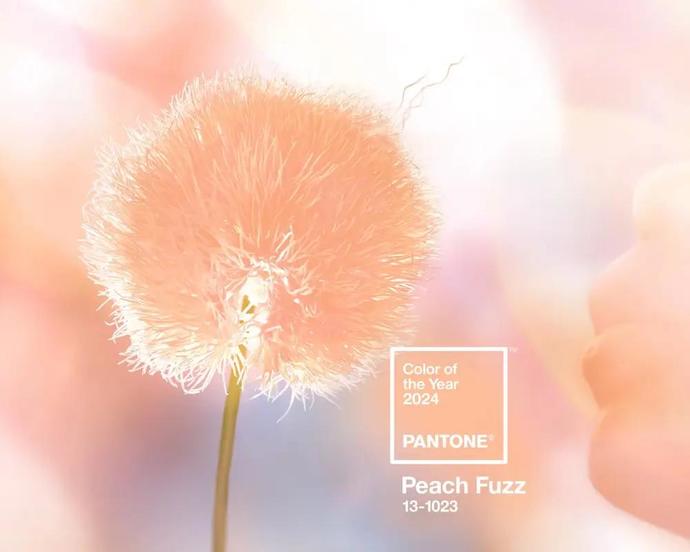 2024 Pantone rengi Peach Fuzz seçildi 🍑 Beğendiniz mi?