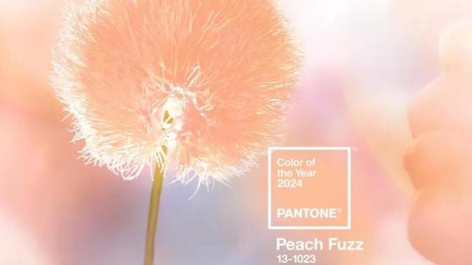 2024 Pantone rengi Peach Fuzz seçildi 🍑 Beğendiniz mi?