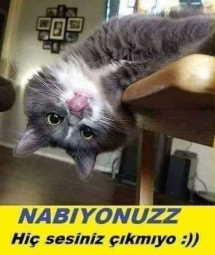 Napiyonuz hiç sesiniz çıkmayı?