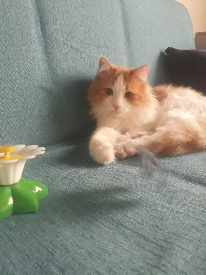 En çok kiminle zaman geçirmeyi seviyorsunuz?