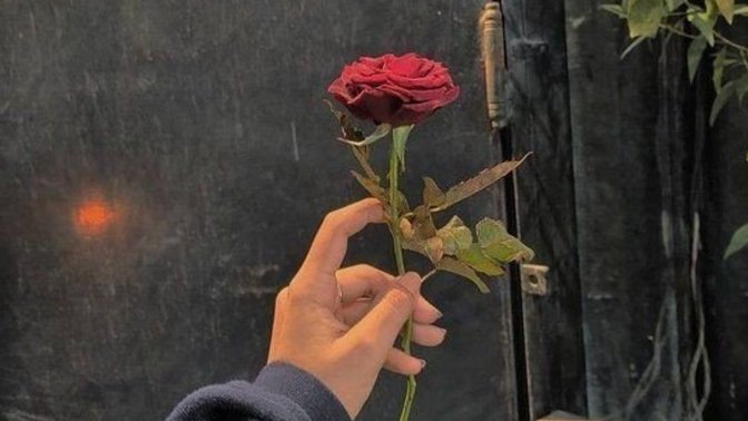 Ne güzel dua değil mi?