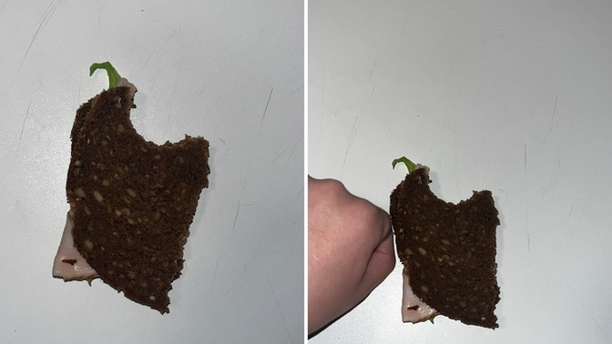 Bu ekmek kilo aldırır mı?