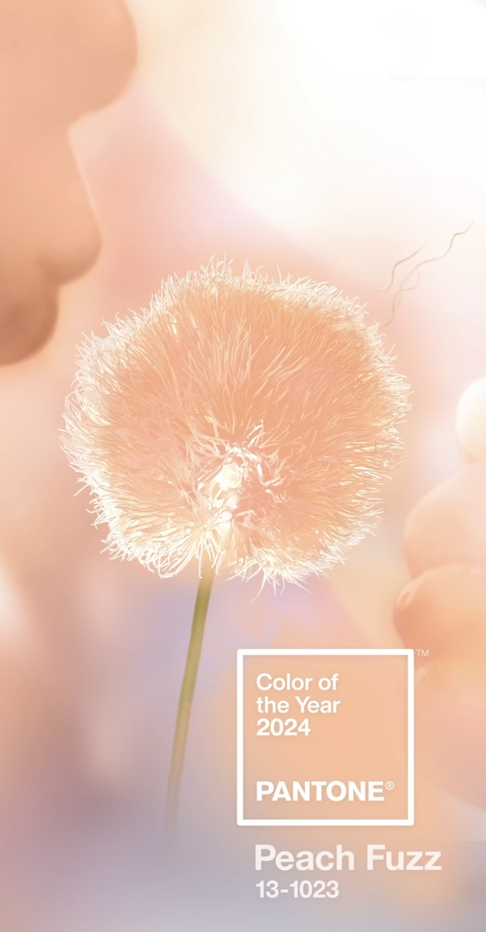 Pantone 2024’ün rengini belirledi! Nasıl buldunuz?