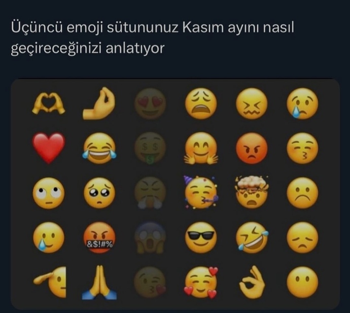 3. emoji sütununuzda hangi emojiler var, siz Aralık ayını nasıl geçireceksiniz?