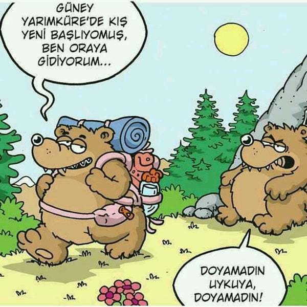Fırsatın olunca öğlen uykusuna yatar mısın 😄?