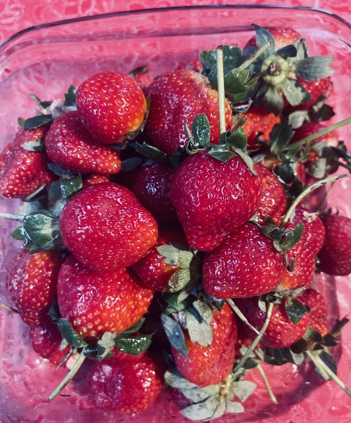En son ne zaman çilek 🍓 yedin? Çilek 🍓 sever misin?