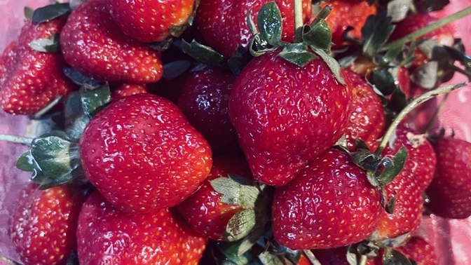 En son ne zaman çilek 🍓 yedin? Çilek 🍓 sever misin?