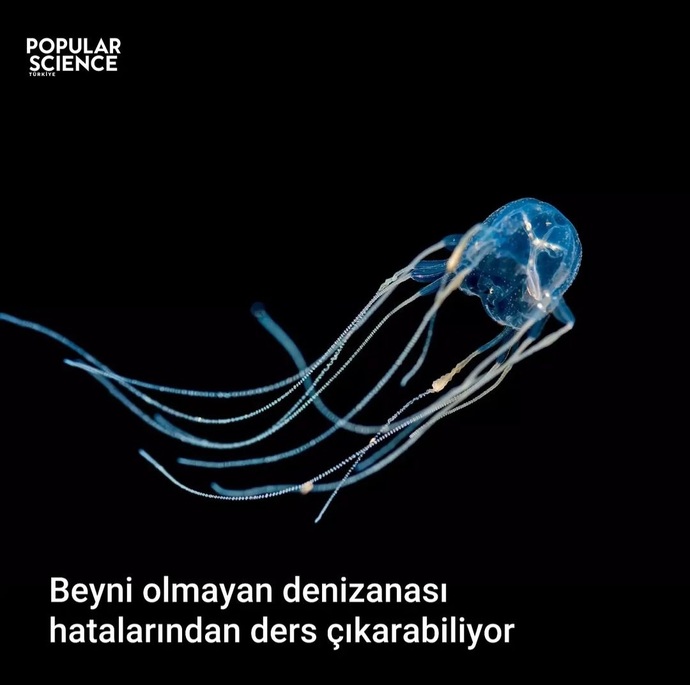 Hatalarınızdan ders çıkartabiliyor musunuz?