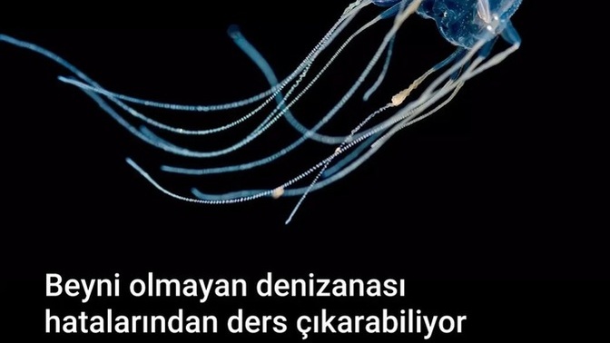 Hatalarınızdan ders çıkartabiliyor musunuz?