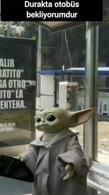 Uzaylı değiliz sonuçta
