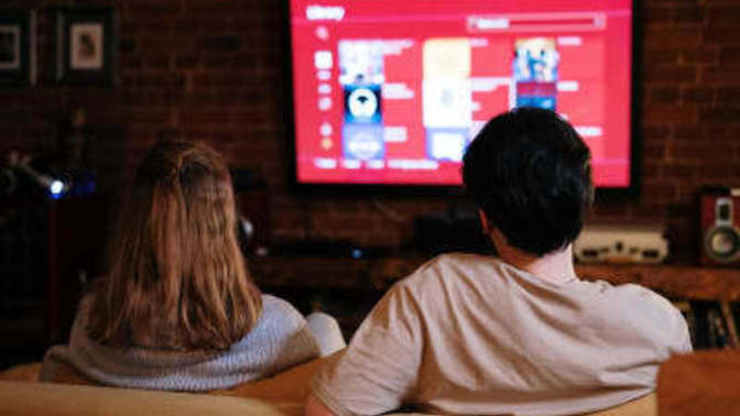 TV'de en çok hangi kanal türünü izlersiniz?