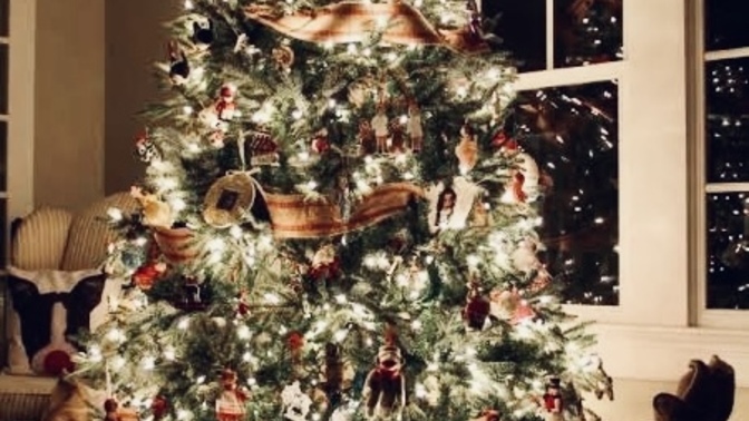 Noel 🎄 ağacı süslemesi yaptın mı/yapacak mısın? Türkiye’de noel 🎄 ağacı süslemesi neden iyi karşılanmıyor?