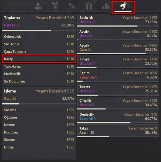 MMO oyunlarda en çok tercih ettiğiniz meslek hangisi?