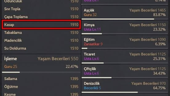 MMO oyunlarda en çok tercih ettiğiniz meslek hangisi?
